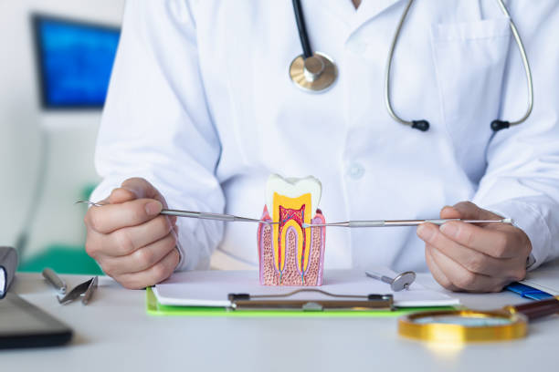Best Root Canal Emergency Dentist  in Munford, AL